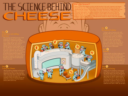 The Science Behind Cheese
